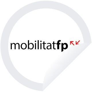 Programa de mobilitat formativa i cooperació europea i internacional en els ensenyaments professionals