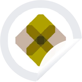 Xarxa de competències