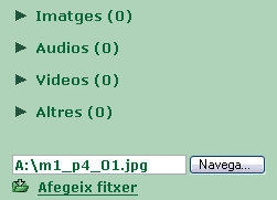 Pantalla d'importaci de fitxers