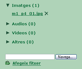 Pantalla d'importaci de fitxers