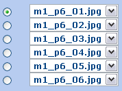 Imatges de les respostes