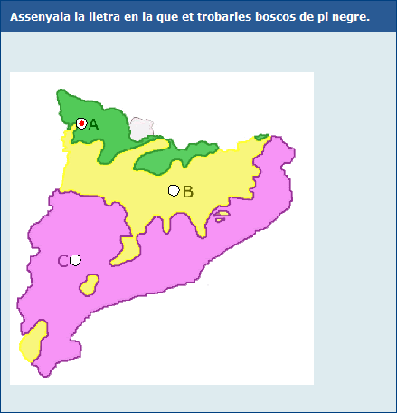 Exemple de pregunta amb color de fons