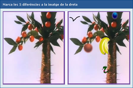 Exemple de pregunta de selecci lliure de punts